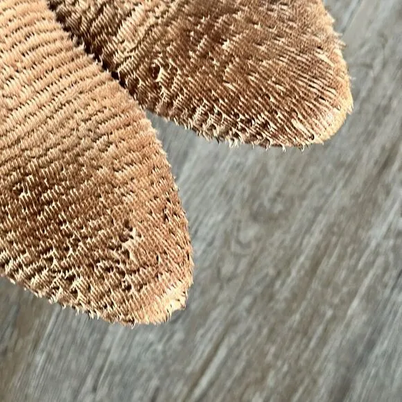 Anthropologie Genuine Antelope Ladessa Suede Mules Size 37 6.5
