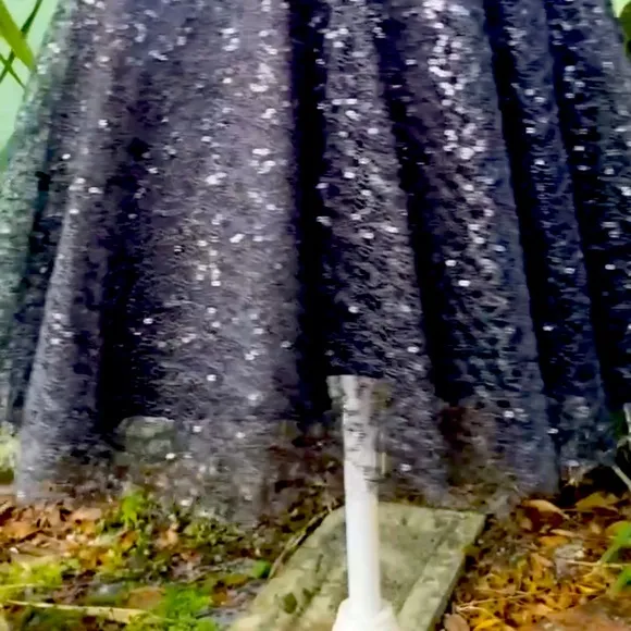 Black Sequin Sparkly Party Dress