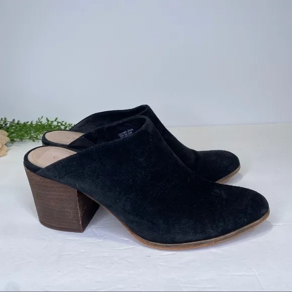 Caslon Black Suede Leather Pointed Toe Stacked Heel Mules Size 9M