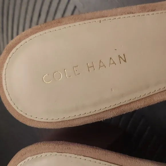 COLE HAAN Womens Daina Suede Leather Stacked Heel Slip On Open Toe Sandals