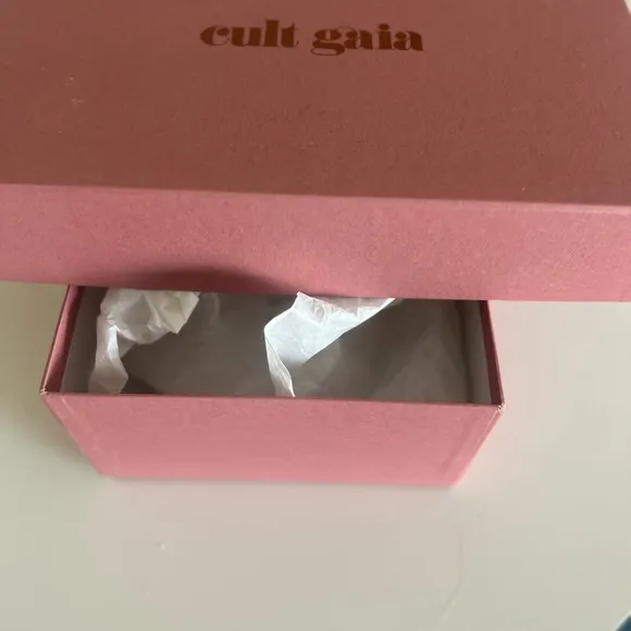 Cult Gaia's Black Carmen Point Mules with Box and Dustbag