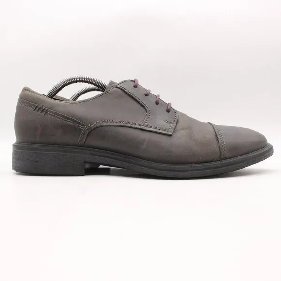 Ecco Knoxville Men's Eu 44 Captoe Oxfords Dress Dark Gray Leather Purple Laces