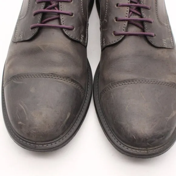 Ecco Knoxville Men's Eu 44 Captoe Oxfords Dress Dark Gray Leather Purple Laces