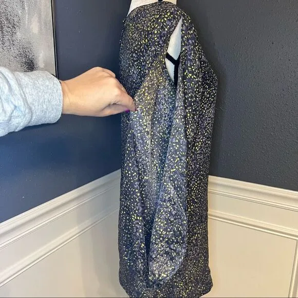 Elizabeth and James Long Sleeve Shift Dress
