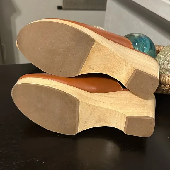Everlane Brown Leather Wooden heel Clogs Size 8.5