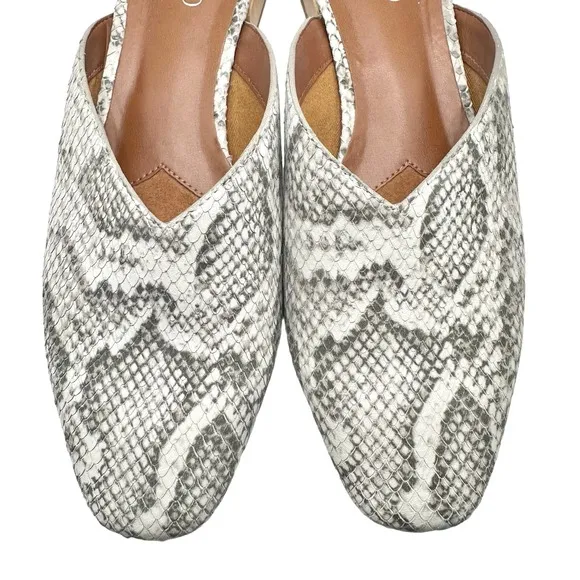 Franco Sarto | Women | Van 2 Gray V-Cut Snake Print Leather Mules | 8.5 M