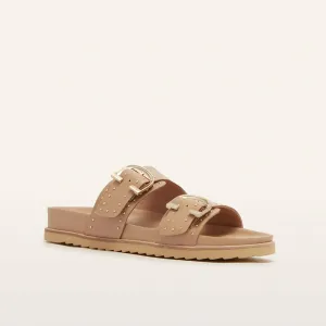 FRANKIE4 - Deon Camel Stud