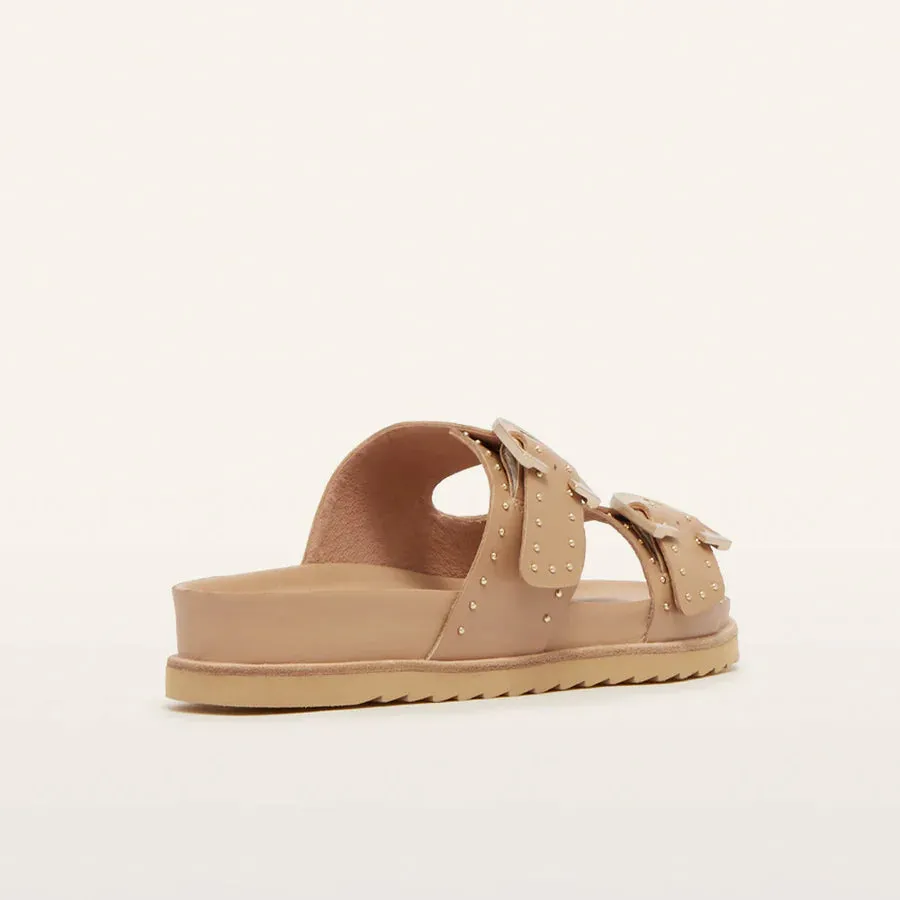 FRANKIE4 - Deon Camel Stud
