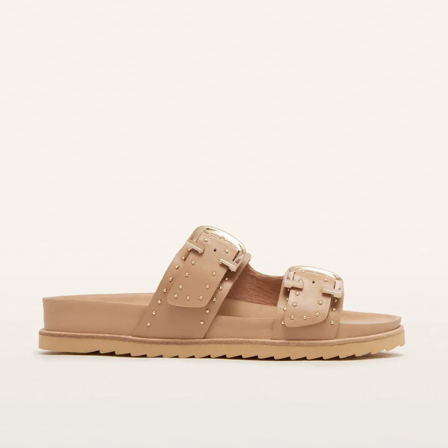 FRANKIE4 - Deon Camel Stud