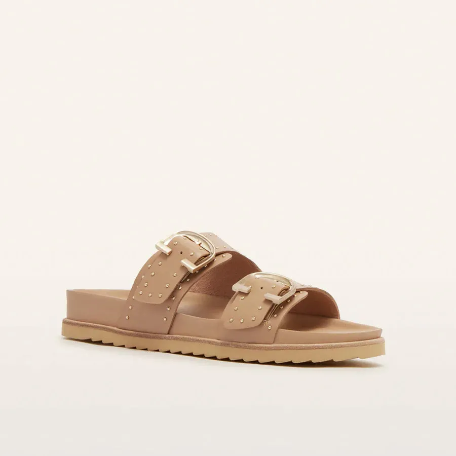 FRANKIE4 - Deon Camel Stud