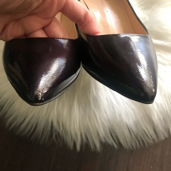 Giuseppe Zanotti Brown Pointed Heels pumps