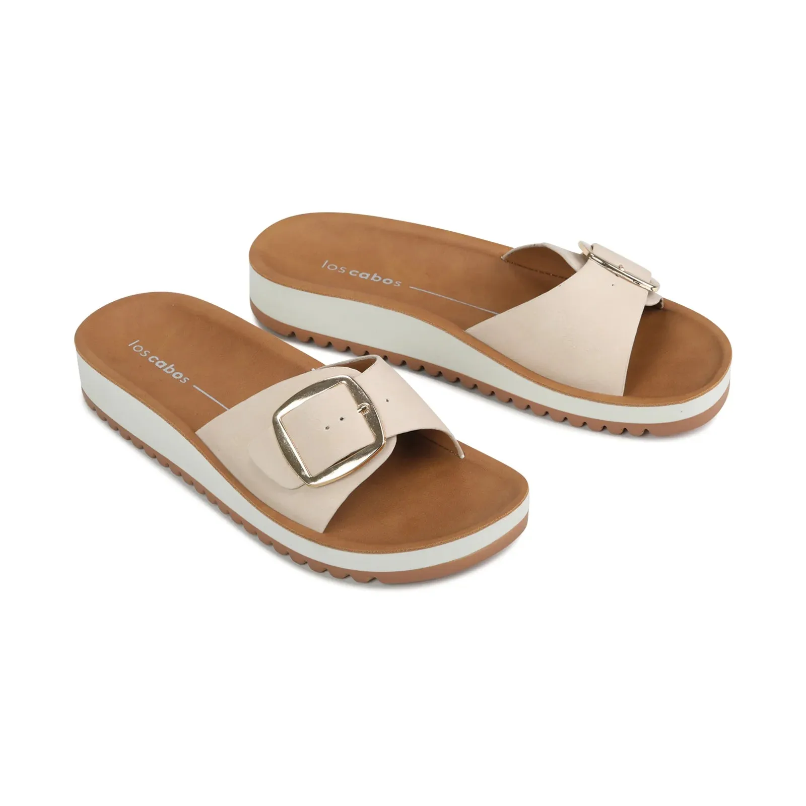 Naja Slides Oats