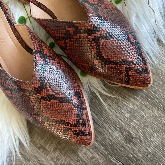 NEW | Madewell The Emilia Mule in Snake Embossed Leather Pointed Toe Size 6
