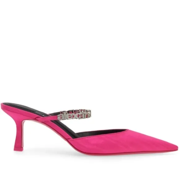 ▪️NIB Alexander Wang Delphine 65mm embellished mules