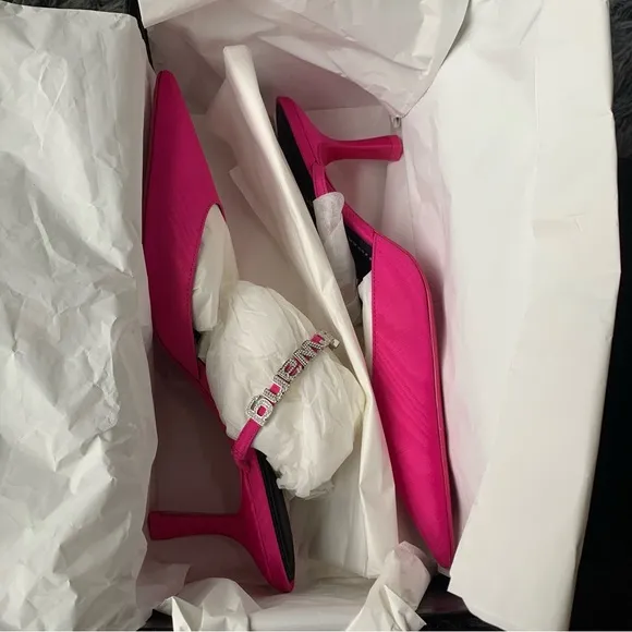 ▪️NIB Alexander Wang Delphine 65mm embellished mules