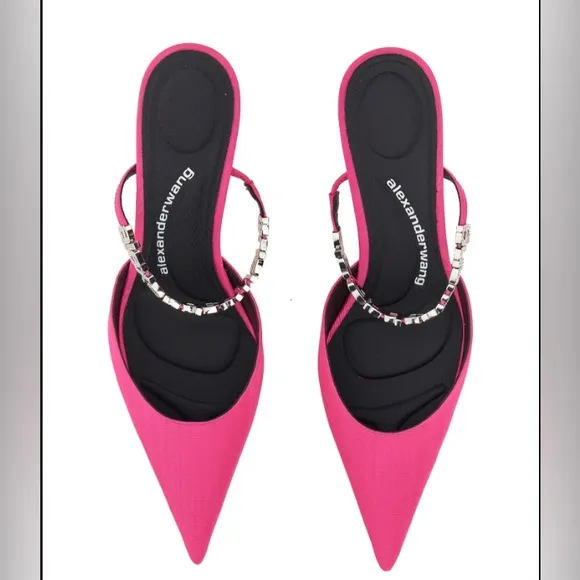 ▪️NIB Alexander Wang Delphine 65mm embellished mules