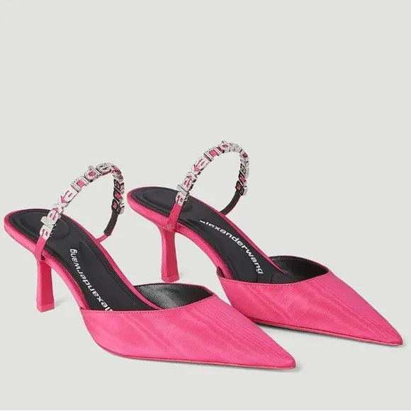 ▪️NIB Alexander Wang Delphine 65mm embellished mules