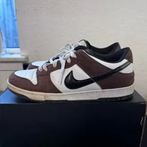 Nike dunk Trail