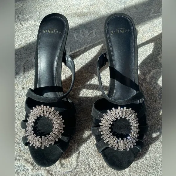 NWT Alexandre Birman AliciaSuede Embellished Mules