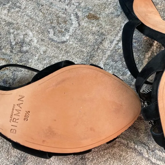 NWT Alexandre Birman AliciaSuede Embellished Mules