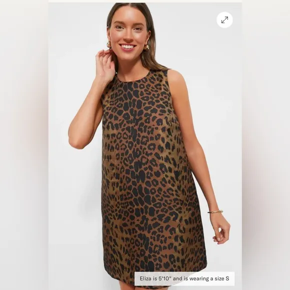 Tuckernuck Leopard Marlowe Dress